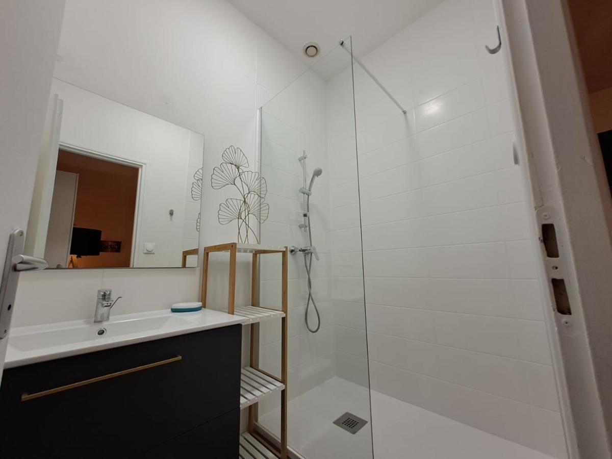 Le Saint Jean , Centre Historique, Wifi, Tout Equipe, Ideal Famille, Business, Ou Simple Escapade Niort Exterior photo